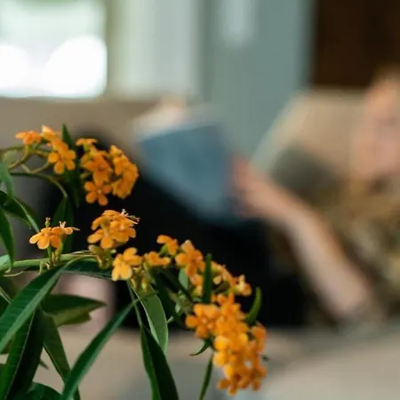 Gemuetliche Mit Pool- Garten Und Sauna By Interhome