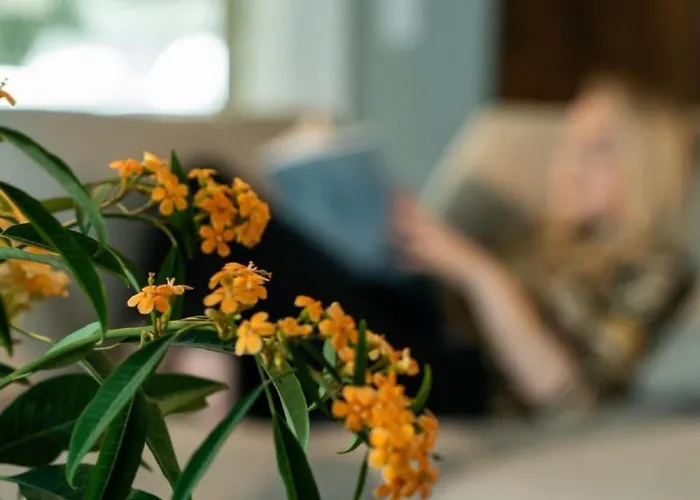 Gemuetliche Mit Pool- Garten Und Sauna By Interhome